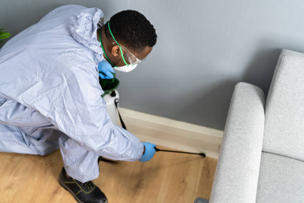 Real Estate Pest Inspections in Winfield, AL